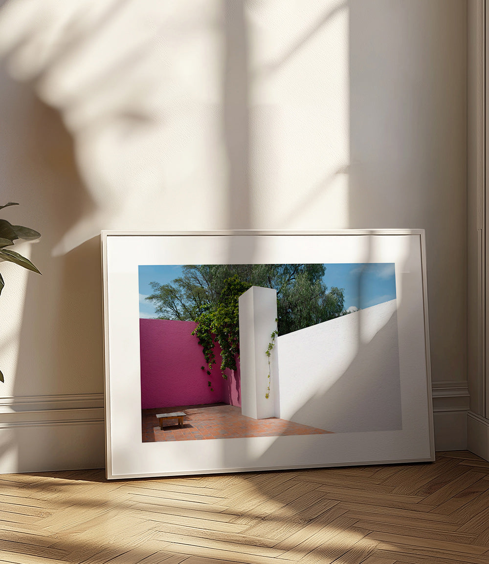 Design minimalista cortile rosa e bianco