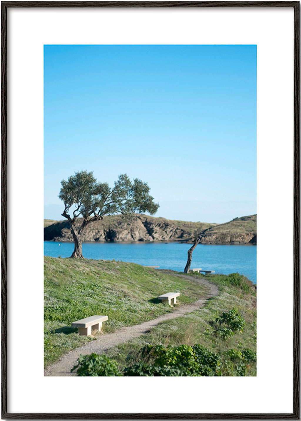 Cuadro di paesaggio sentiero costiero sereno