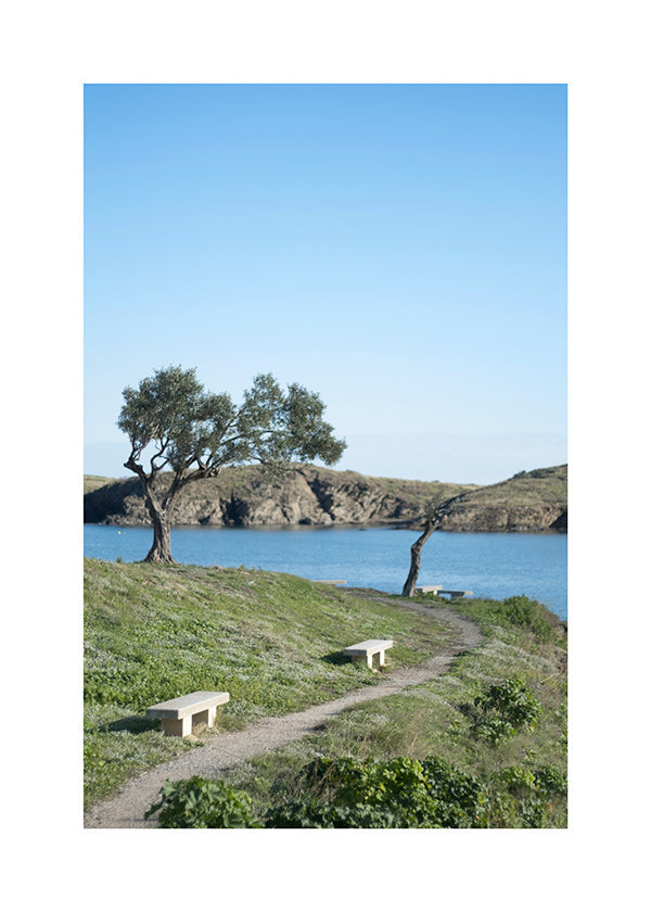 Cuadro di paesaggio sentiero costiero sereno