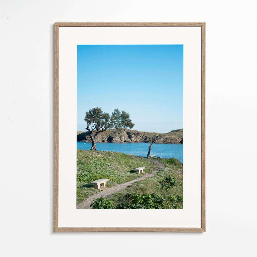 Cuadro di paesaggio sentiero costiero sereno