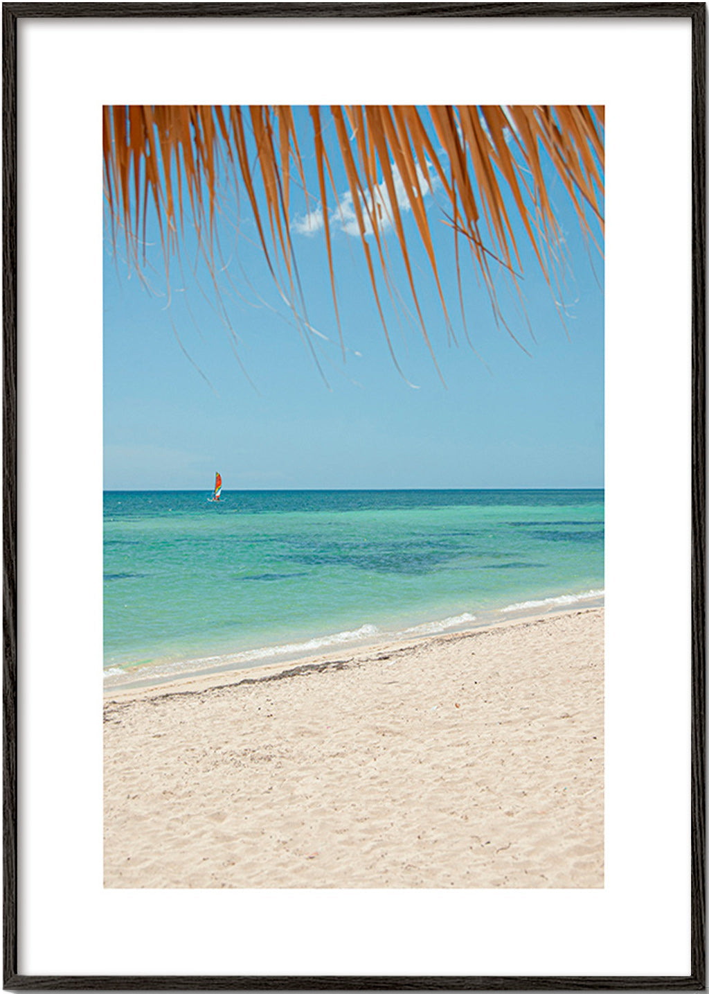 Quadro paesaggio: spiaggia caraibica con palma