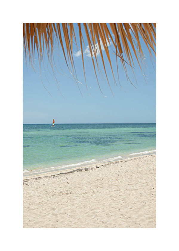 Quadro paesaggio: spiaggia caraibica con palma