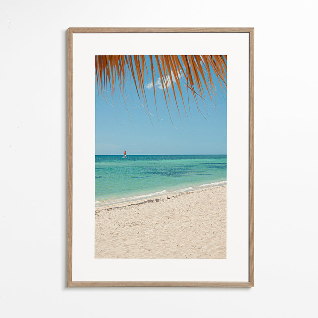 Quadro paesaggio: spiaggia caraibica con palma
