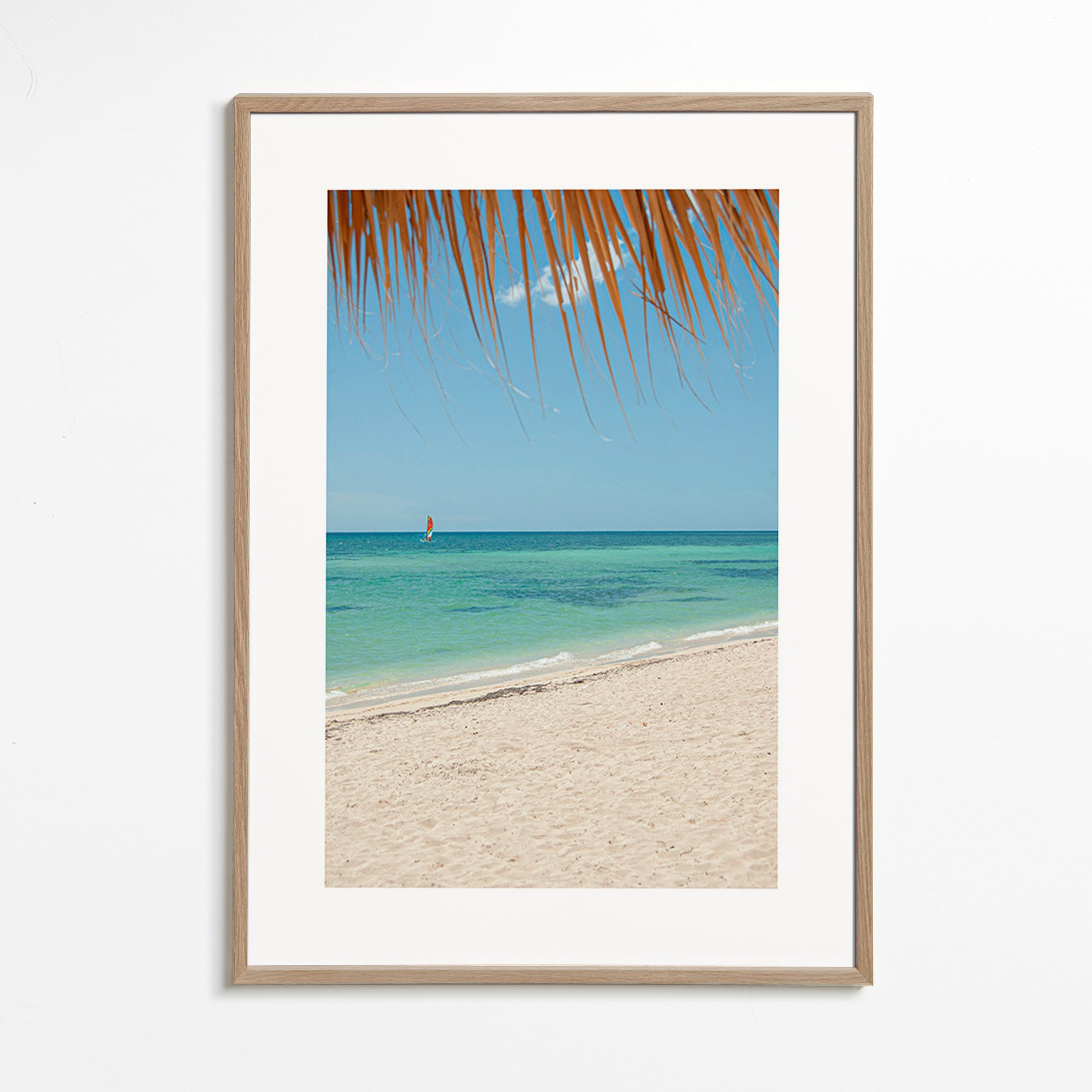 Quadro paesaggio: spiaggia caraibica con palma
