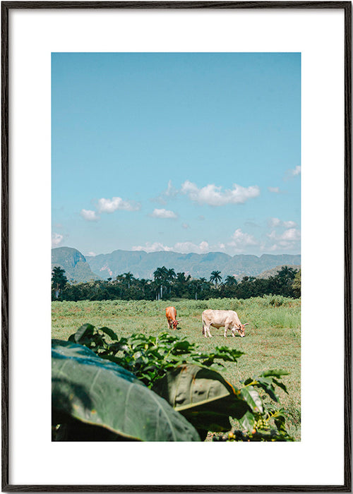Arte paesaggistica: campo con mucche e cielo ampio