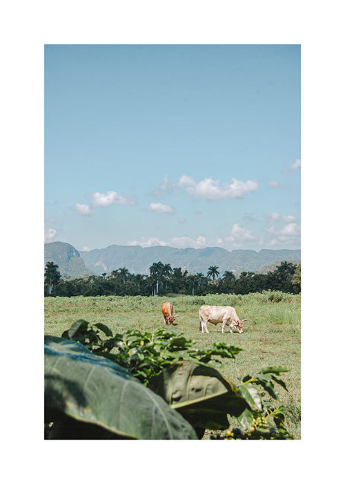 Arte paesaggistica: campo con mucche e cielo ampio