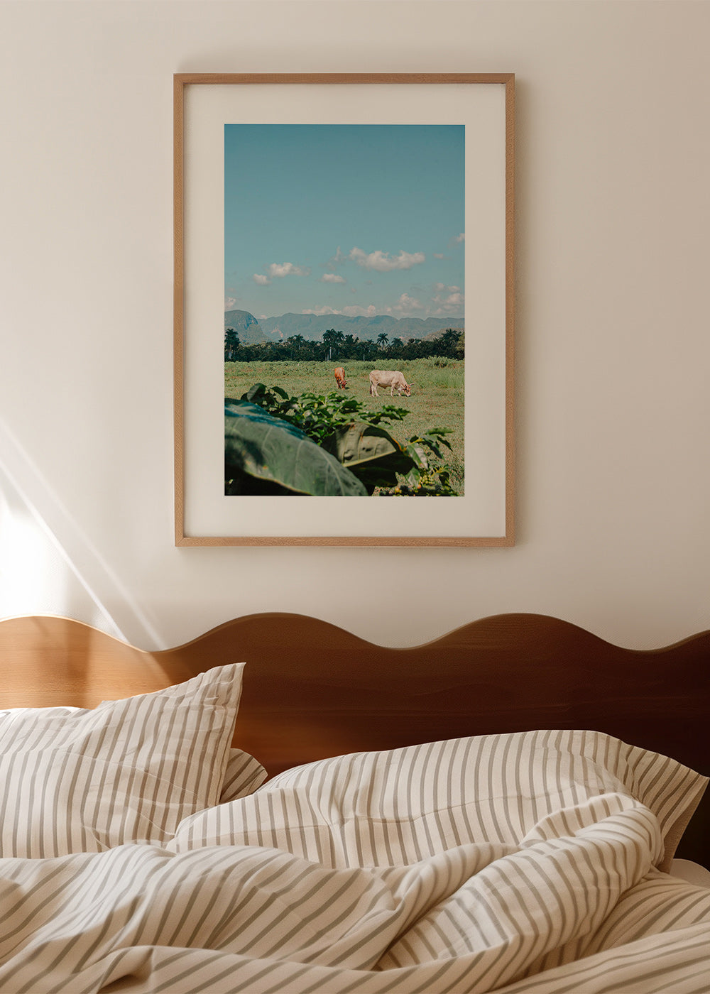 Arte paesaggistica: campo con mucche e cielo ampio