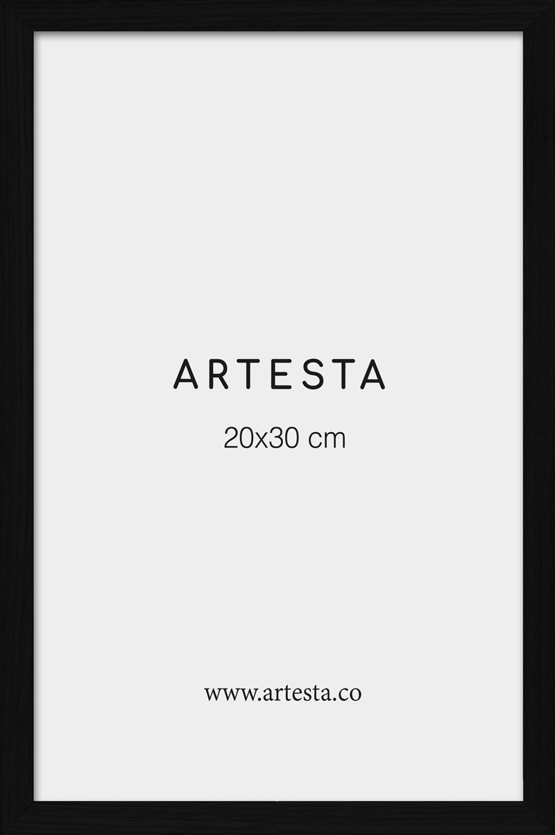 Cornice nera 20x30cm