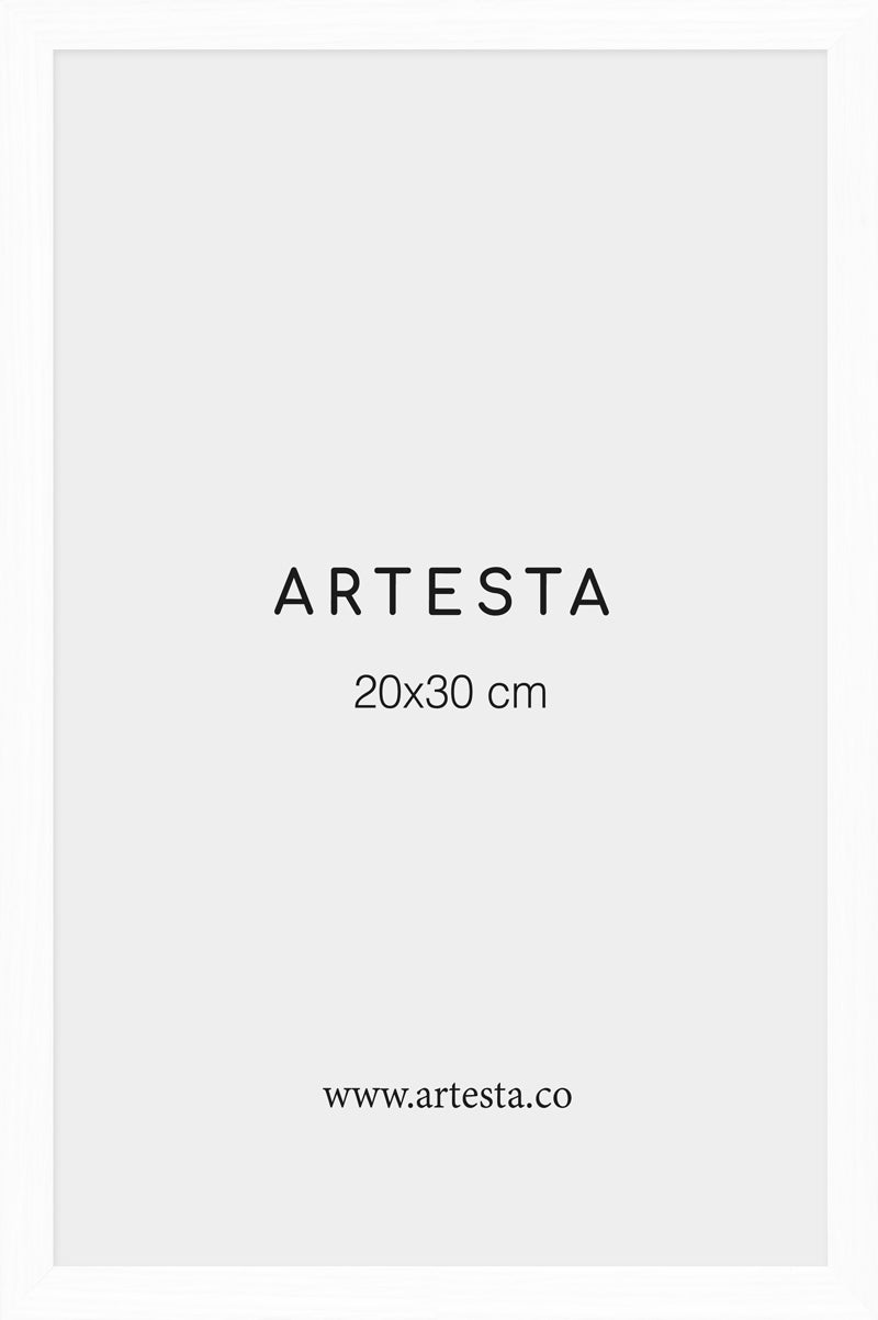 Cornice bianca 20x30cm