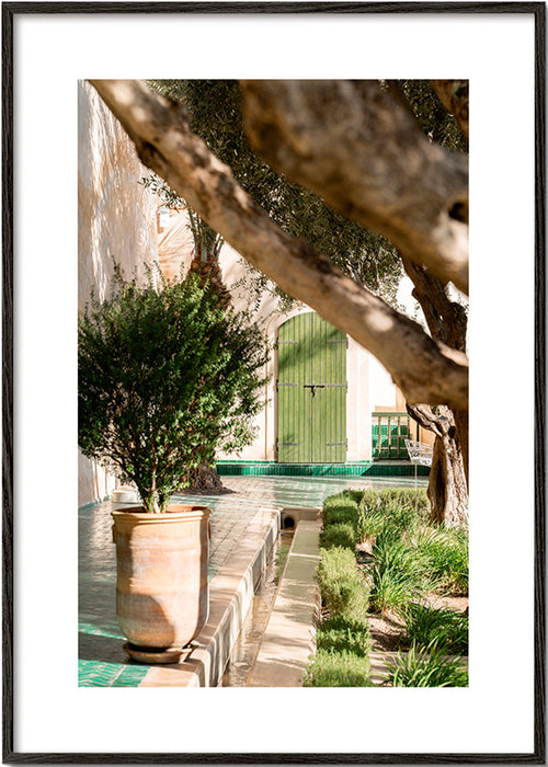 Lámina botánica de patio mediterráneo – Black Frame