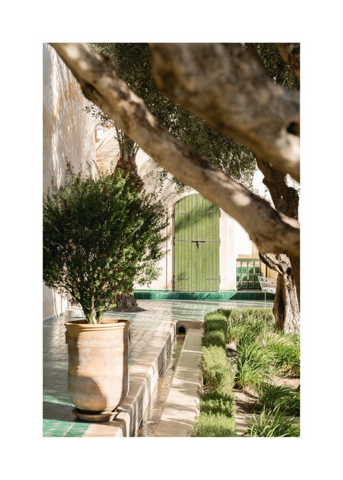 Le Jardin Secret - Unframed art print