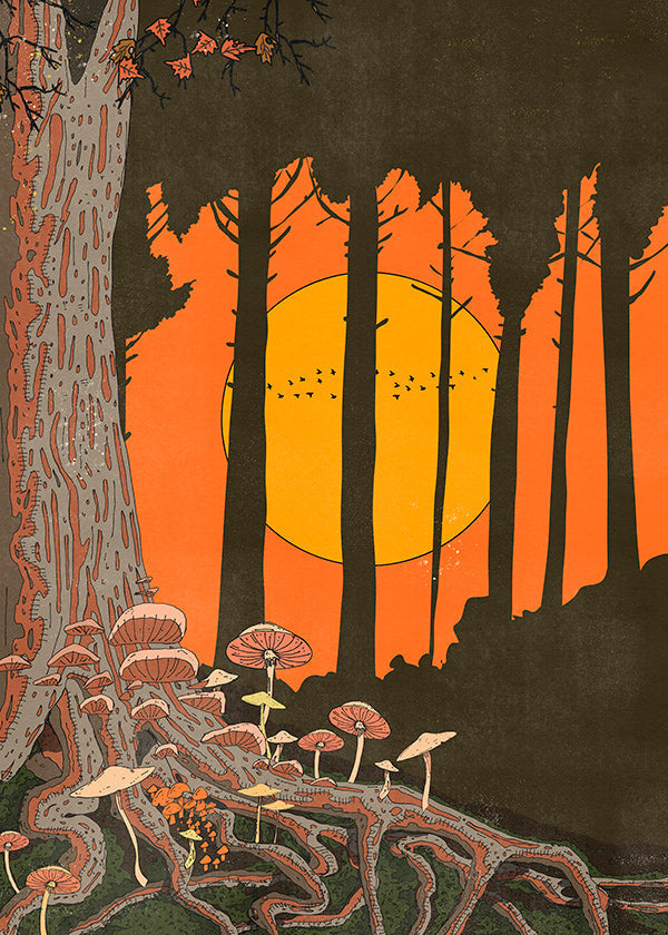 Ilustración de bosque al atardecer con hongos