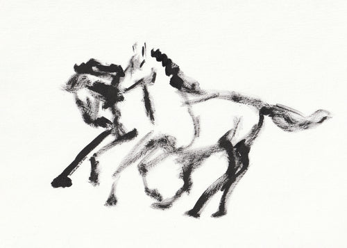Swift Shadows - Unframed art print