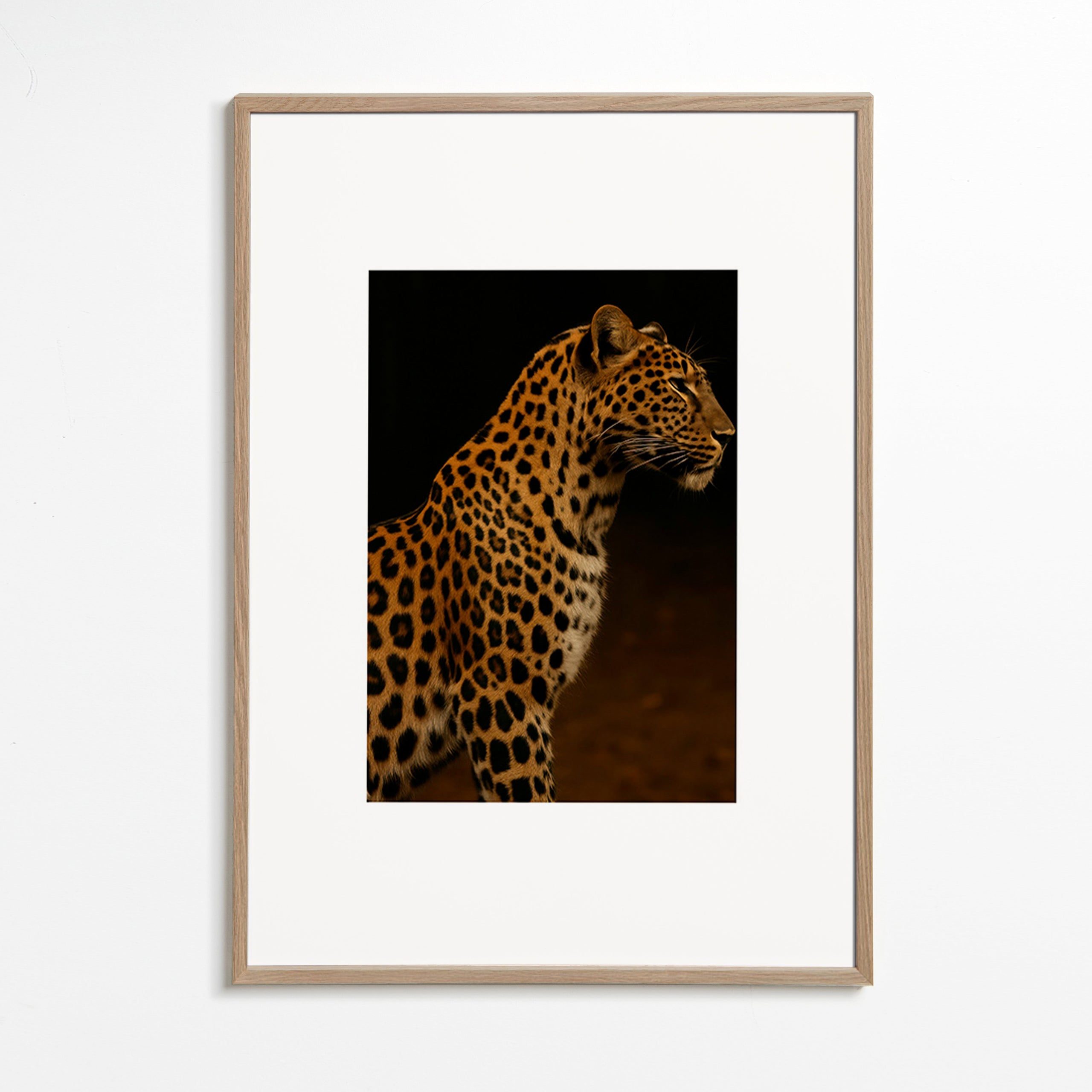 Cuadro leopardo perfil en estudio – Oak Frame