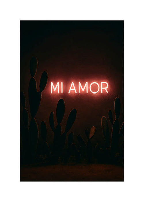 Fotografia: neon 'Mi Amor' su cactus