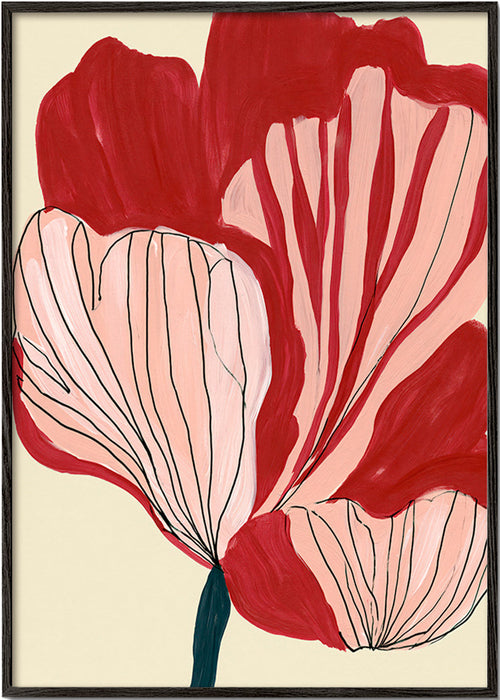 Stampa botanica petali scarlatti – Black Frame