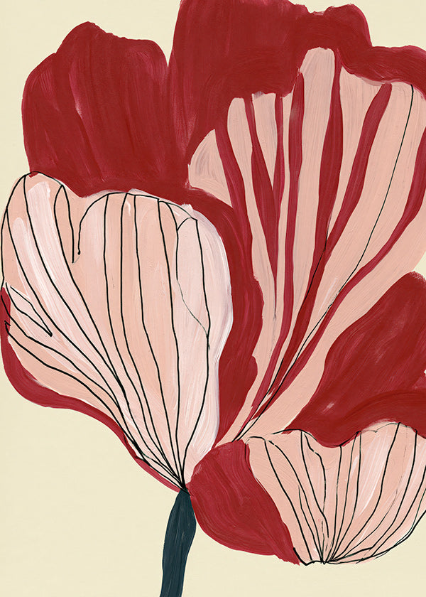 Stampa botanica petali scarlatti