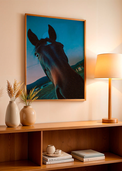 Opera cavallo primo piano al crepuscolo