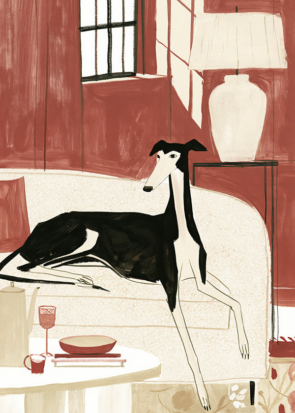 Galgo illustrato sul divano