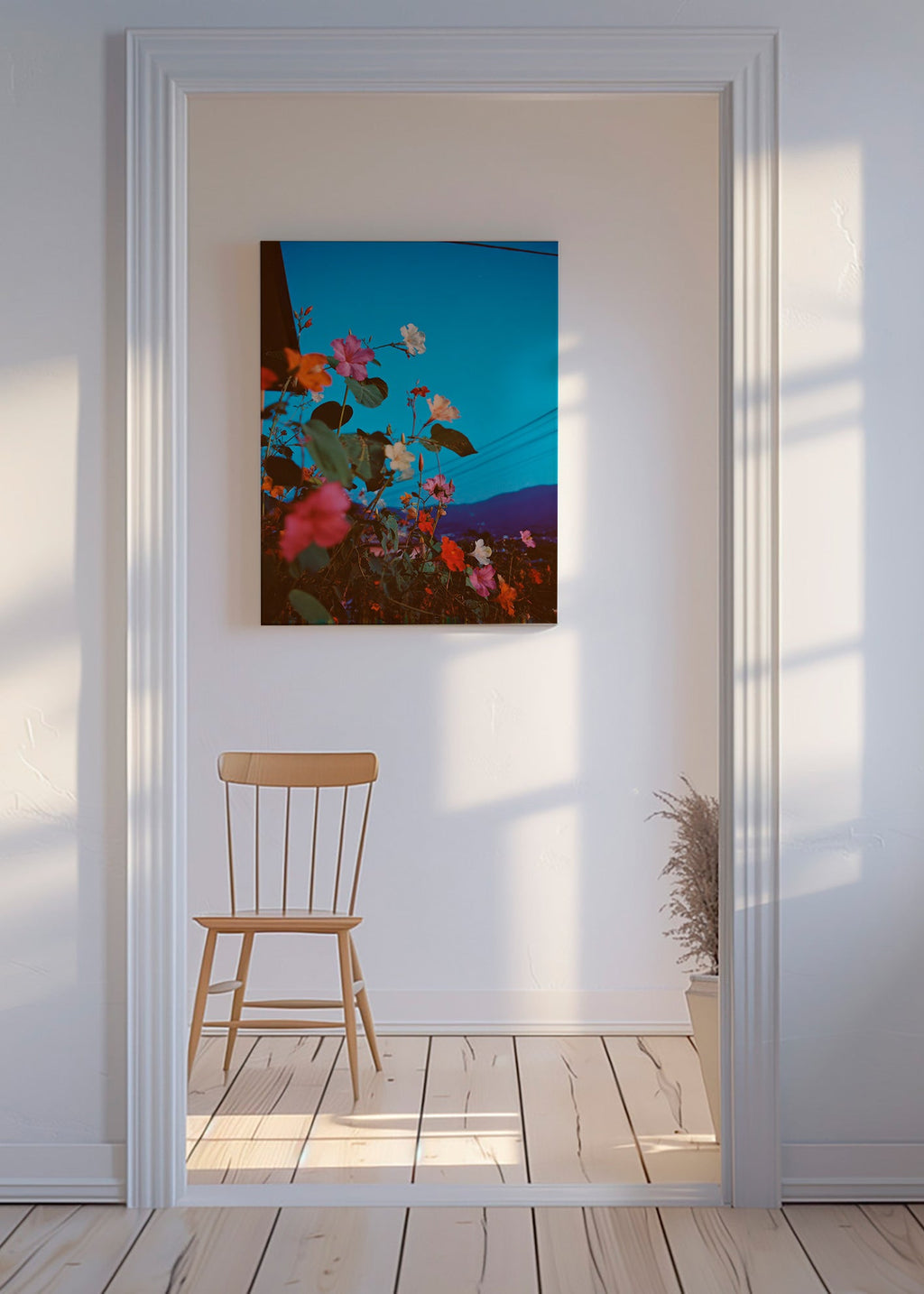 Stampa botanica: bougainvillea al crepuscolo
