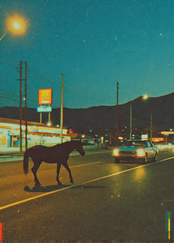 Cavallo notturno sulla strada