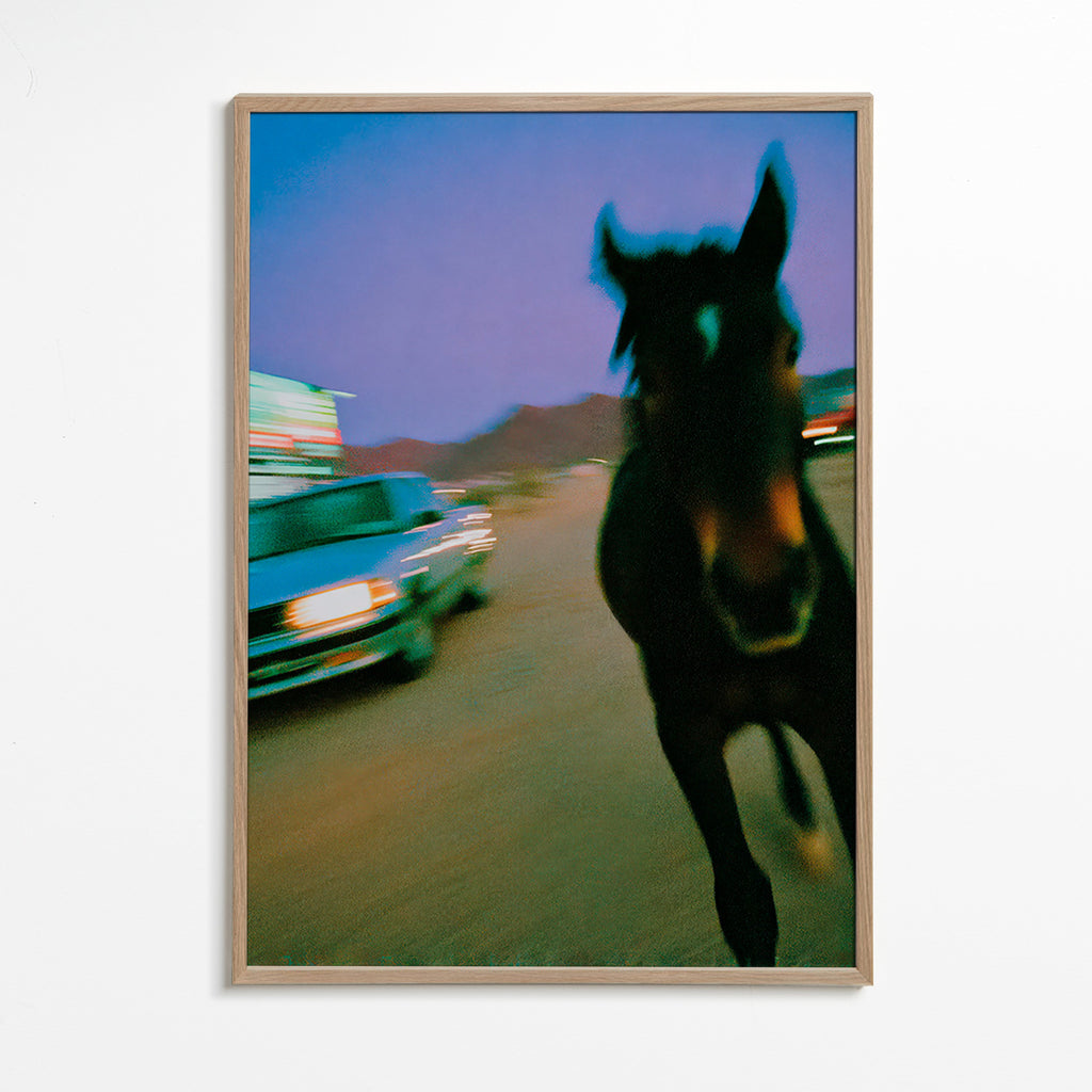 Opera cavallo in movimento al crepuscolo