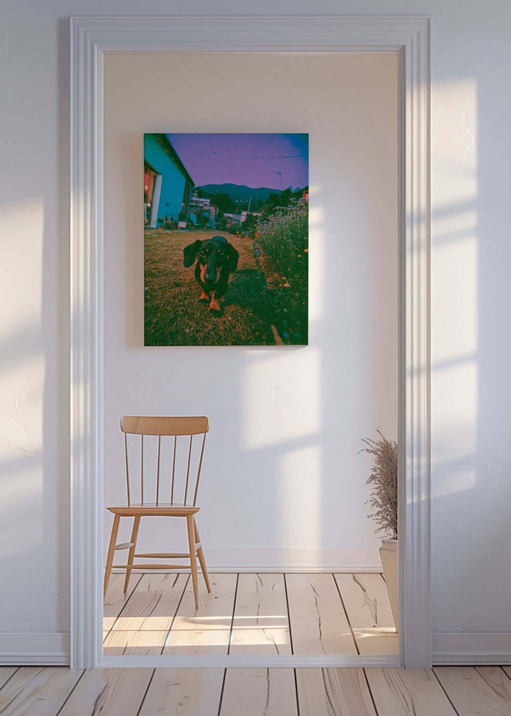 Fotografia cane al crepuscolo