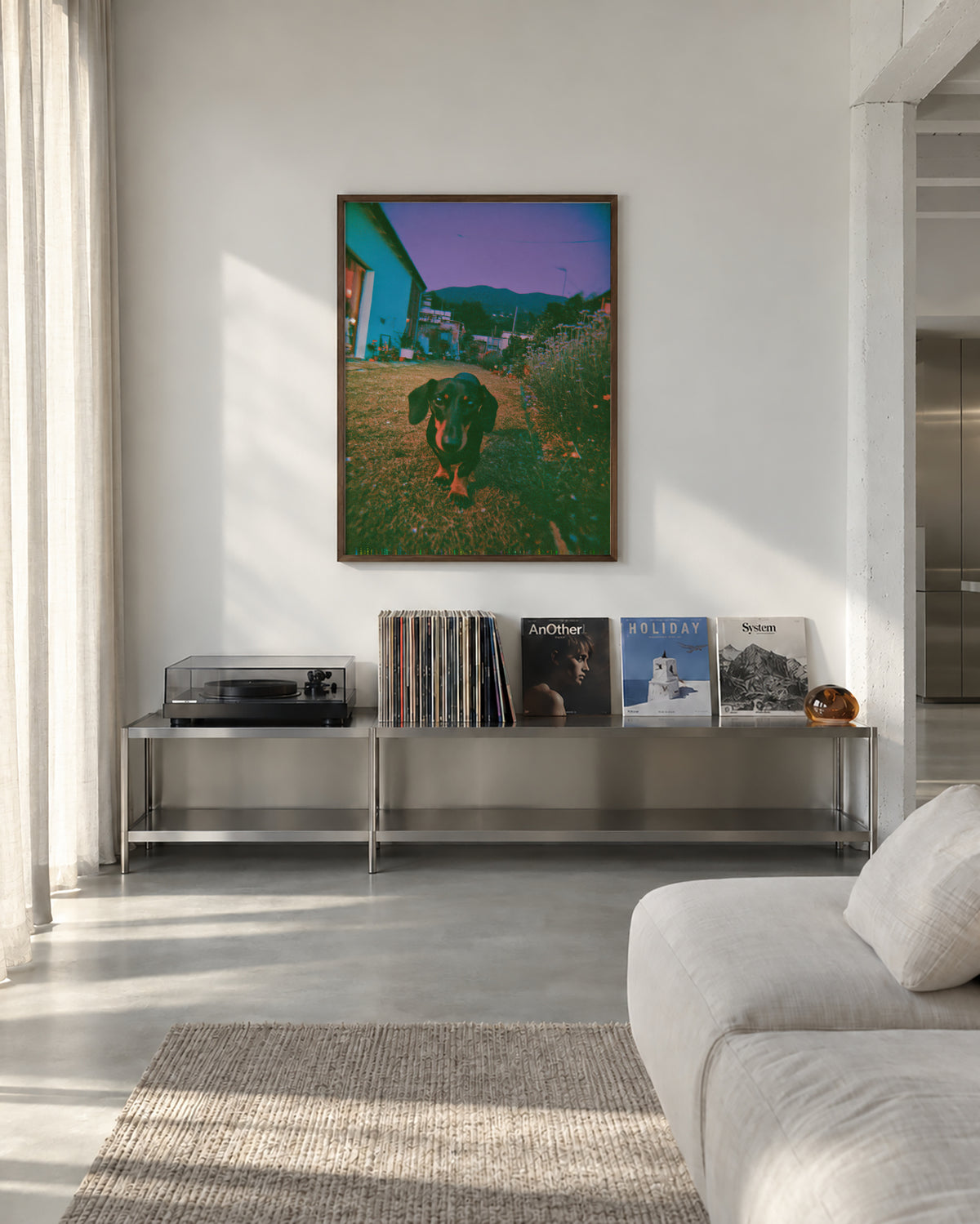 Dog at Dusk - Framed poster in an interior