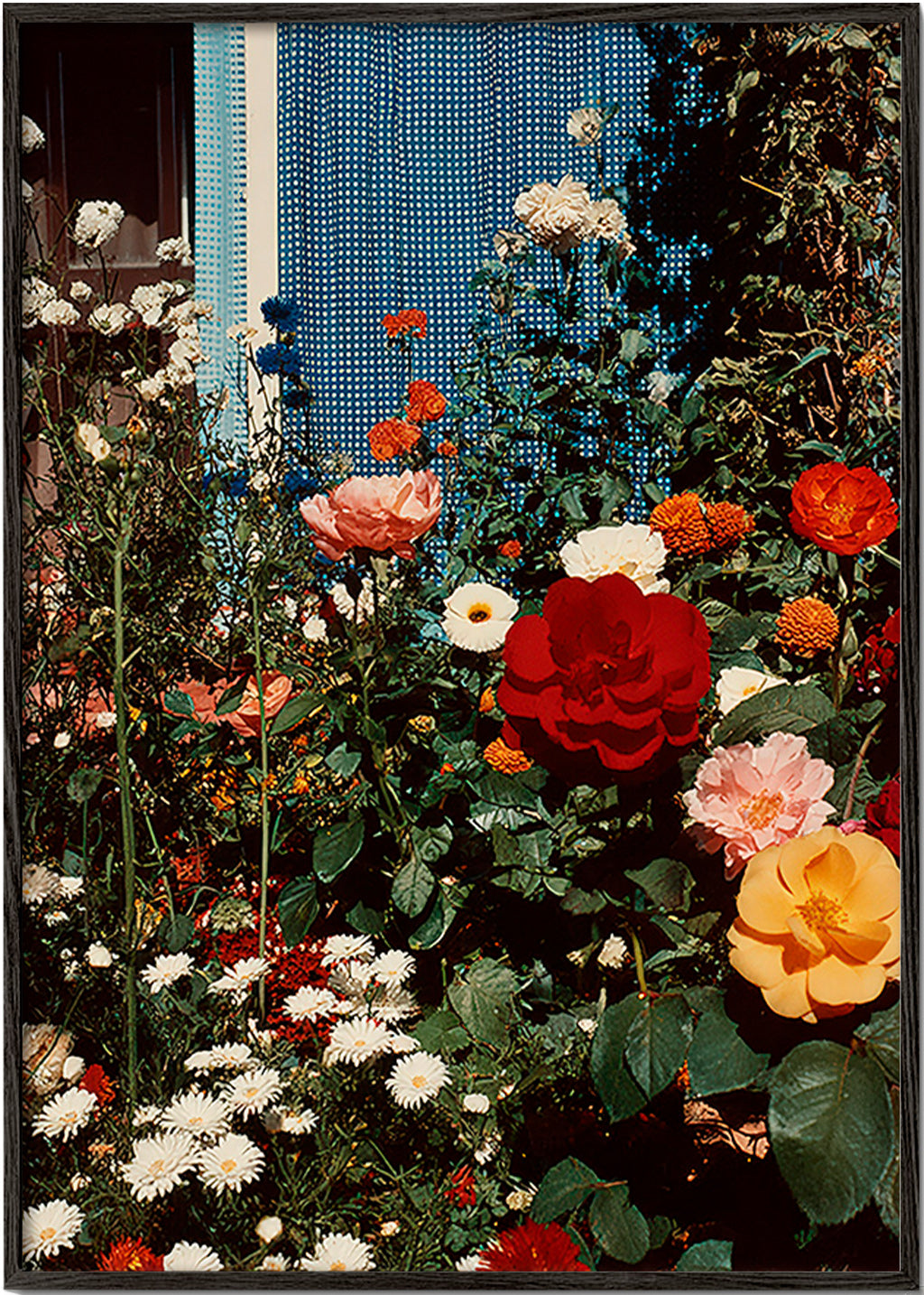Stampa botanica: giardino in fiore