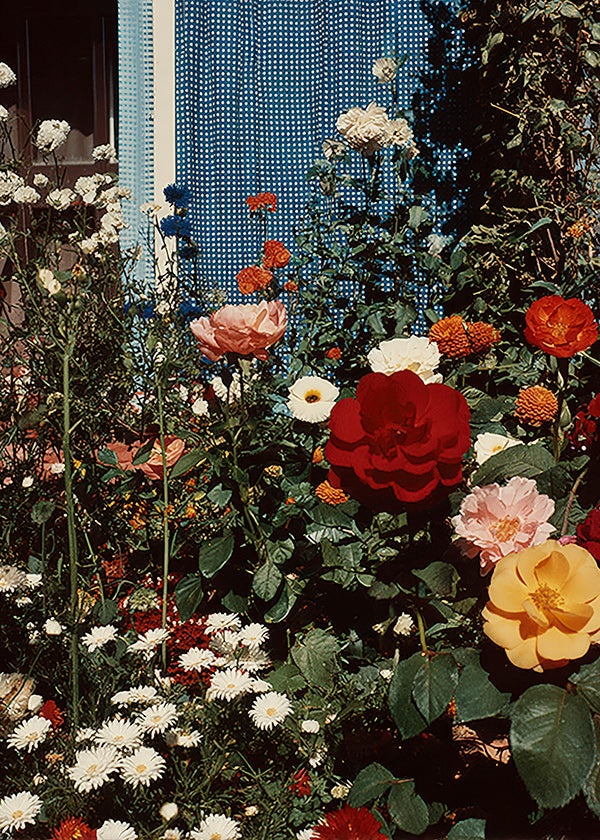 Stampa botanica: giardino in fiore