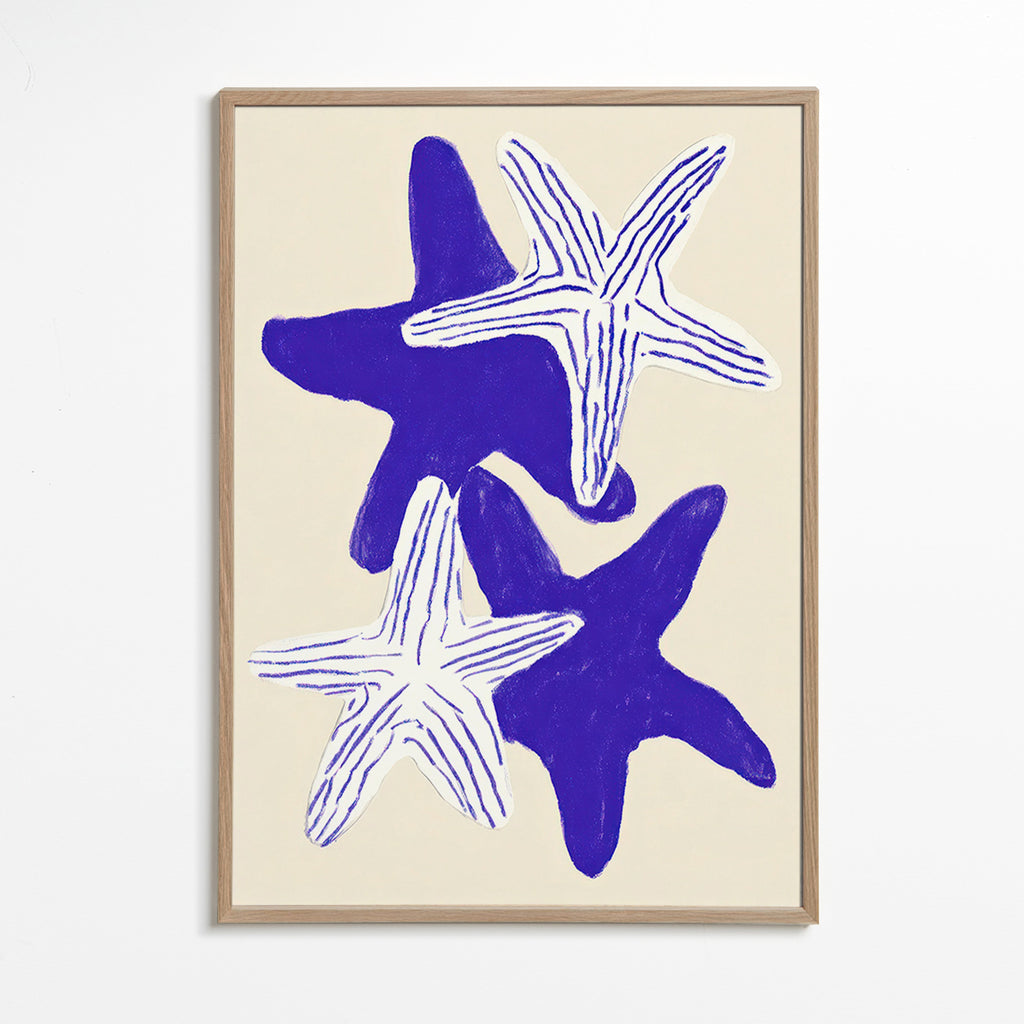 Stelle marine indaco