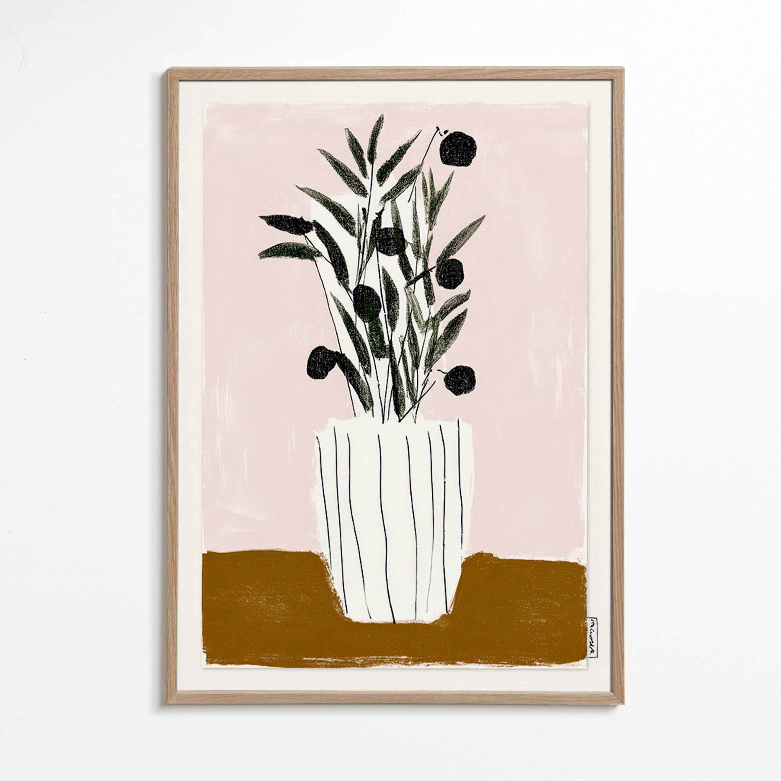 Stampa botanica con rami d'olivo