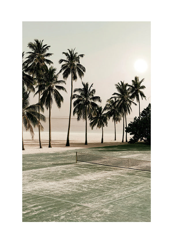 Arte paesaggistica con palme e campo da tennis