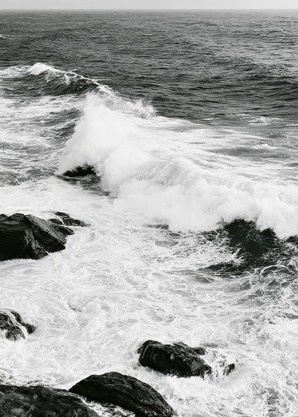 Quadro paesaggistico marino in bianco e nero con onde