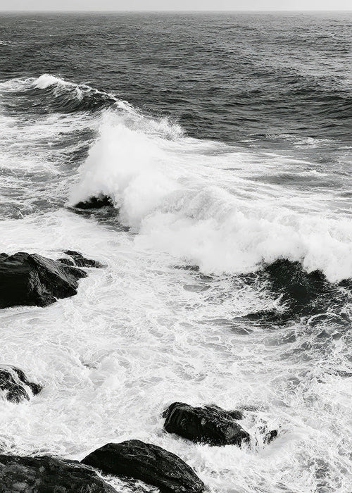 Quadro paesaggistico marino in bianco e nero con onde