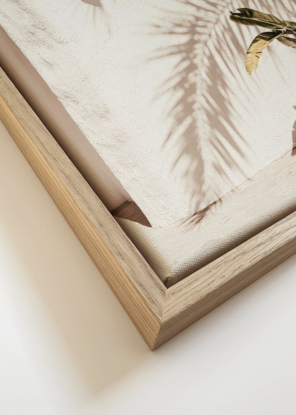 Stampa botanica: palma in vaso