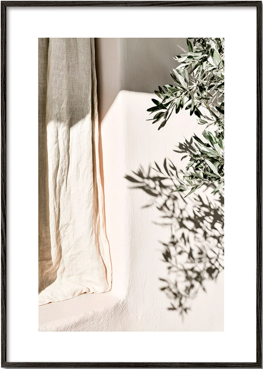 Stampa botanica lino e ramo d'olivo