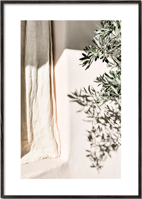 Stampa botanica lino e ramo d'olivo