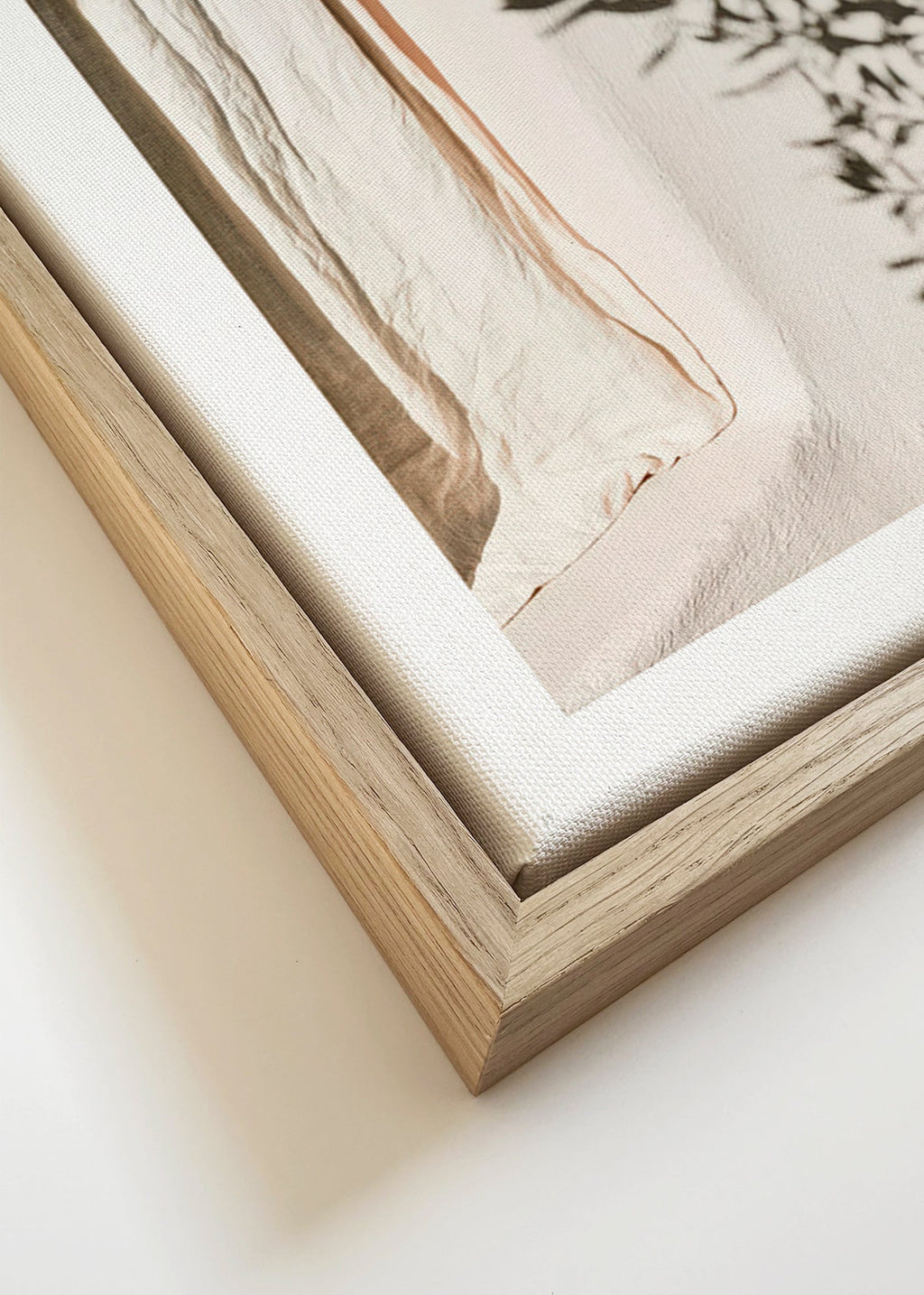 Stampa botanica lino e ramo d'olivo