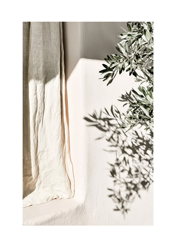 Stampa botanica lino e ramo d'olivo