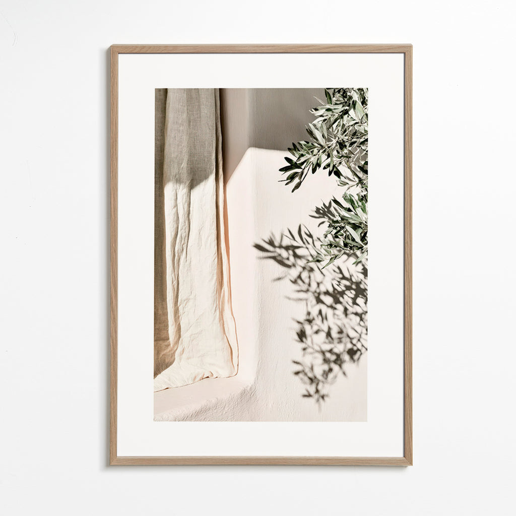 Stampa botanica lino e ramo d'olivo