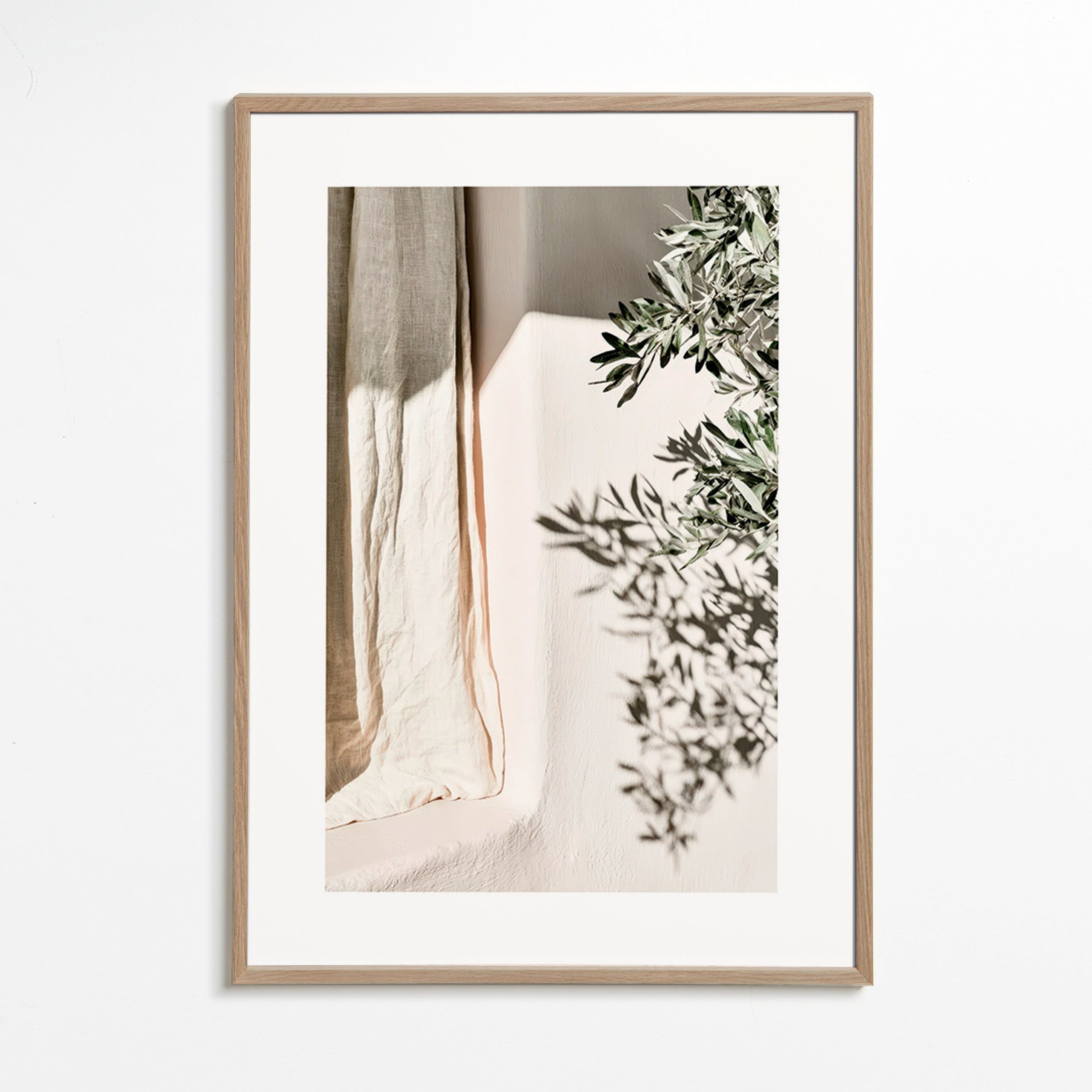 Stampa botanica lino e ramo d'olivo