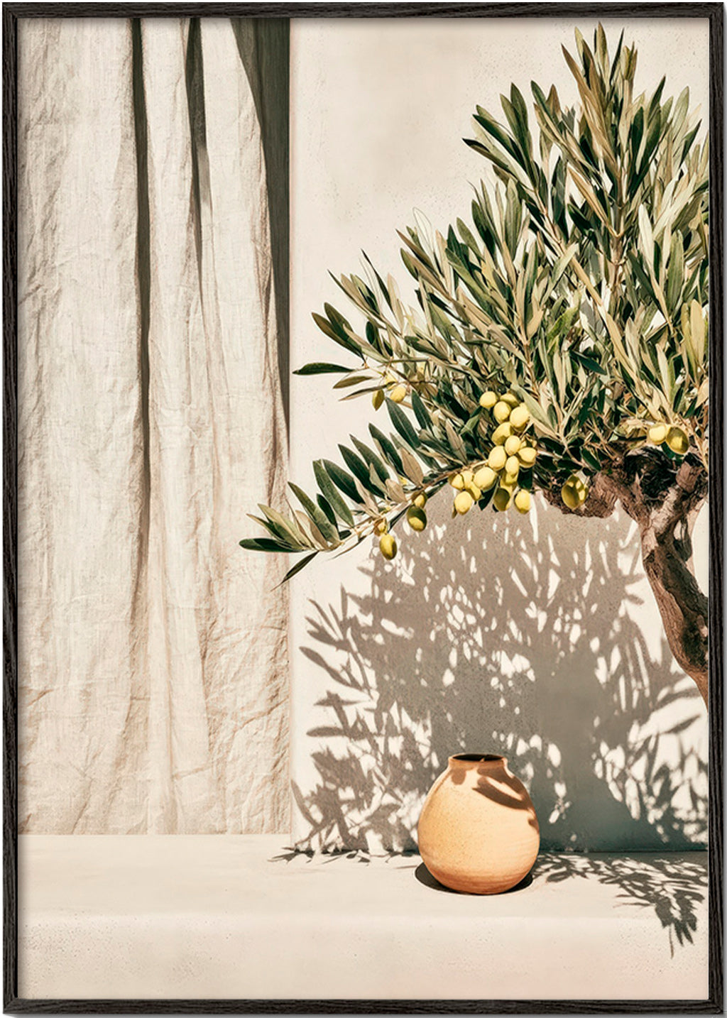 Stampa botanica ramo di ulivo