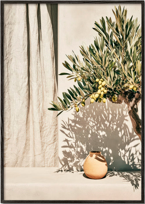 Stampa botanica ramo di ulivo