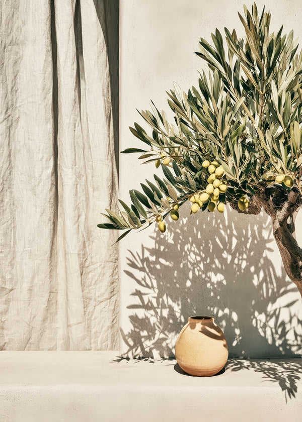 Mediterranean Light