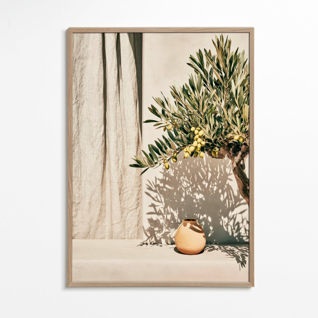 Stampa botanica ramo di ulivo