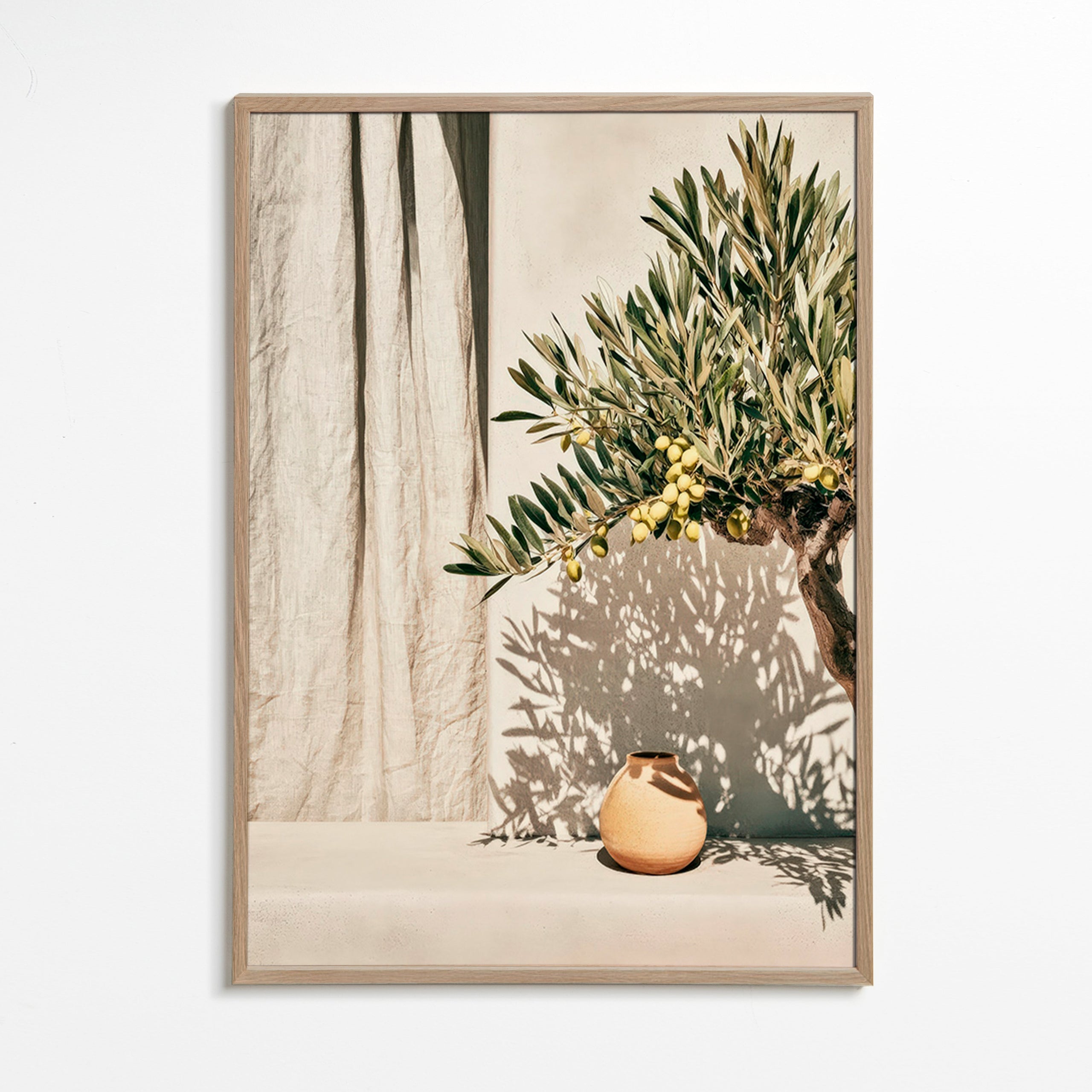 Stampa botanica ramo di ulivo