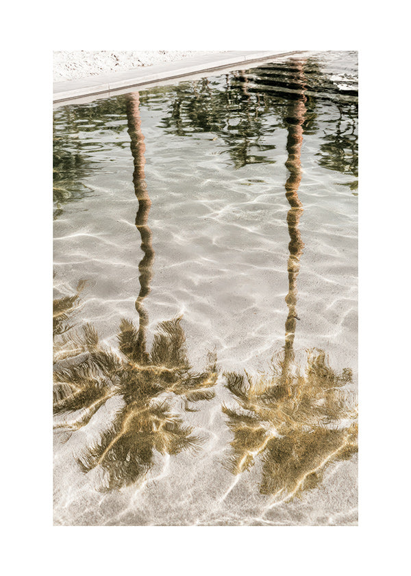 Arte paesaggistica con riflessi di palme