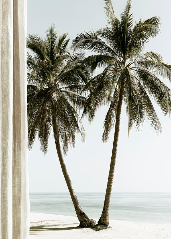 Twin Palms
