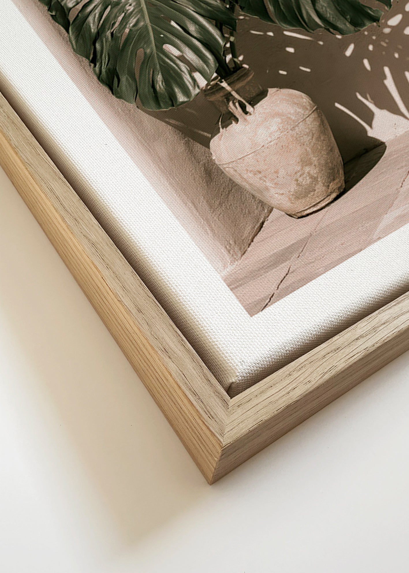 Stampa botanica Monstera in vaso
